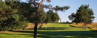 Das Grün der Golfbahn 13 auf der Golfanlage Allgäuer Golf- und Landclub e.V. Ottobeuren