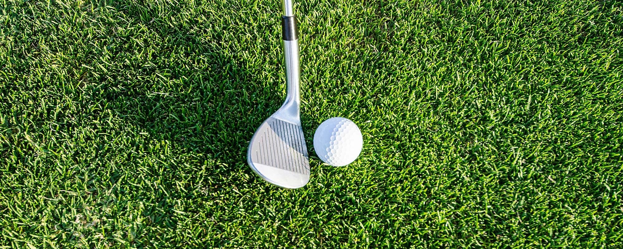 Detailaufnahme eines Golfschlägers und eines Golfballs auf dem Golfplatz (Allgäuer Golf- und Landclub e.V.)