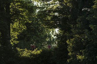 Zwei Golfer spielen auf den Bahnen des Allgäuer Golf- und Landclub e.V. – da sie aus dem Unterholz heraus fotografiert wurden, sind sie komplett von Gebüsch und Bäumen umgeben (Credit: Stefan von Stengel)