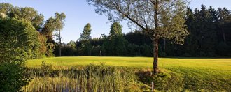 Unspielbares Gelände und Bäume vor dem Grün der Golfbahn 11 auf der Golfanlage Allgäuer Golf- und Landclub e.V. Ottobeuren
