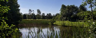 Natürliche Teich-Anlage an der Golfbahn 12 auf der Golfanlage Allgäuer Golf- und Landclub e.V. Ottobeuren