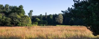 Naturanlage und unspielbares Gelände an der Golfbahn 11 auf der Golfanlage Allgäuer Golf- und Landclub e.V. Ottobeuren