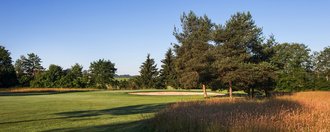 Naturanlage und unspielbares Gelände vor dem Bunker und dem Grün an der Golfbahn 14 auf der Golfanlage Allgäuer Golf- und Landclub e.V. Ottobeuren