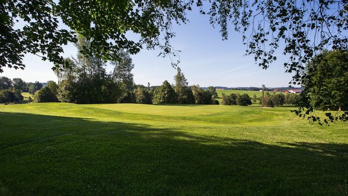 Das Grün der Golfbahn 12 auf der Golfanlage Allgäuer Golf- und Landclub e.V. Ottobeuren