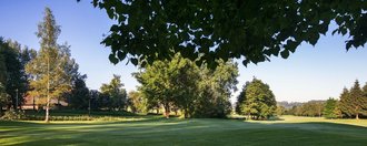 Baumbestand und das Grün der Golfbahn 15 auf der Golfanlage Allgäuer Golf- und Landclub e.V. Ottobeuren