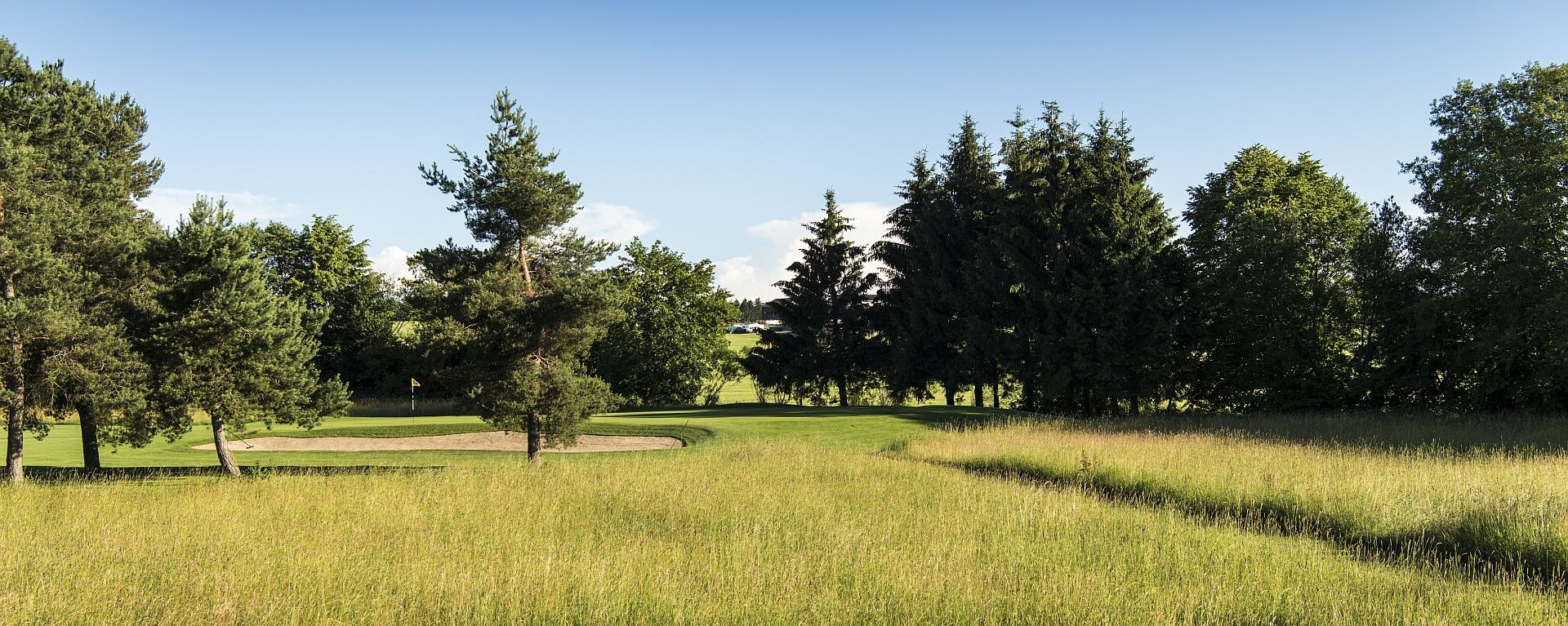Der Vordergrund zeigt aus dichtem, hohen Gras bestehendes unspielbares Gelände – der Hintergrund zeigt ein von gepflegten alten Bäumen umringtes Loch mit Bunker, auf dem Golfplatz des Allgäuer Golf- und Landclub e.V. (Credit: Stefan von Stengel)
