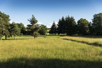 Der Vordergrund zeigt aus dichtem, hohen Gras bestehendes unspielbares Gelände – der Hintergrund zeigt ein von gepflegten alten Bäumen umringtes Loch mit Bunker, auf dem Golfplatz des Allgäuer Golf- und Landclub e.V. (Credit: Stefan von Stengel)