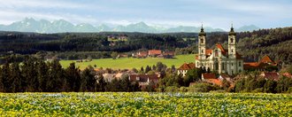 Panoramabild der Heimat des Allgäuer Golf- und Landclubs e.V. von Reinhard Braun: im Vordergrund eine Blumenwiese, im Zentrum Ottobeuren mit der Basilika und im Hintergrund das Panorama der Allgäuer Alpen