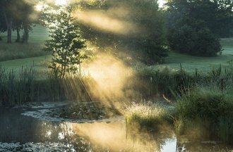 Die Abendsonne bricht durch die umliegenden Büsche und Bäume und wirft ihr warmes Licht auf eine dampfenden, von Gräsern und jungen Bäumen umringten Teich auf dem Gelände des Allgäuer Golf- und Landclub e.V. (Credit: Stefan von Stengel)