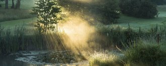 Die Abendsonne bricht durch die umliegenden Büsche und Bäume und wirft ihr warmes Licht auf eine dampfenden, von Gräsern und jungen Bäumen umringten Teich auf dem Gelände des Allgäuer Golf- und Landclub e.V. (Credit: Stefan von Stengel)