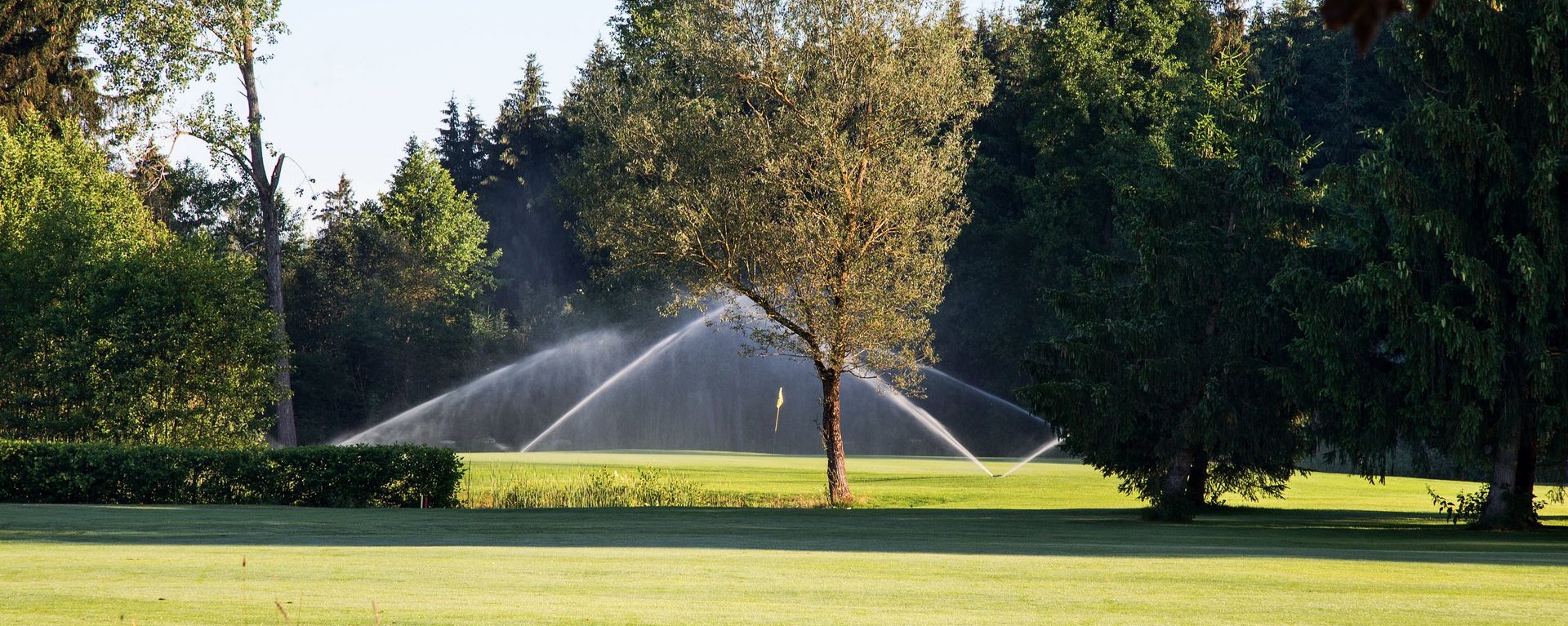 Rasensprenger und Baumbestand vor dem Grün der Golfbahn 11 auf der Golfanlage Allgäuer Golf- und Landclub e.V. Ottobeuren