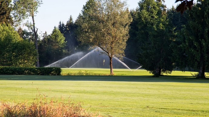 Rasensprenger und Baumbestand vor dem Grün der Golfbahn 11 auf der Golfanlage Allgäuer Golf- und Landclub e.V. Ottobeuren