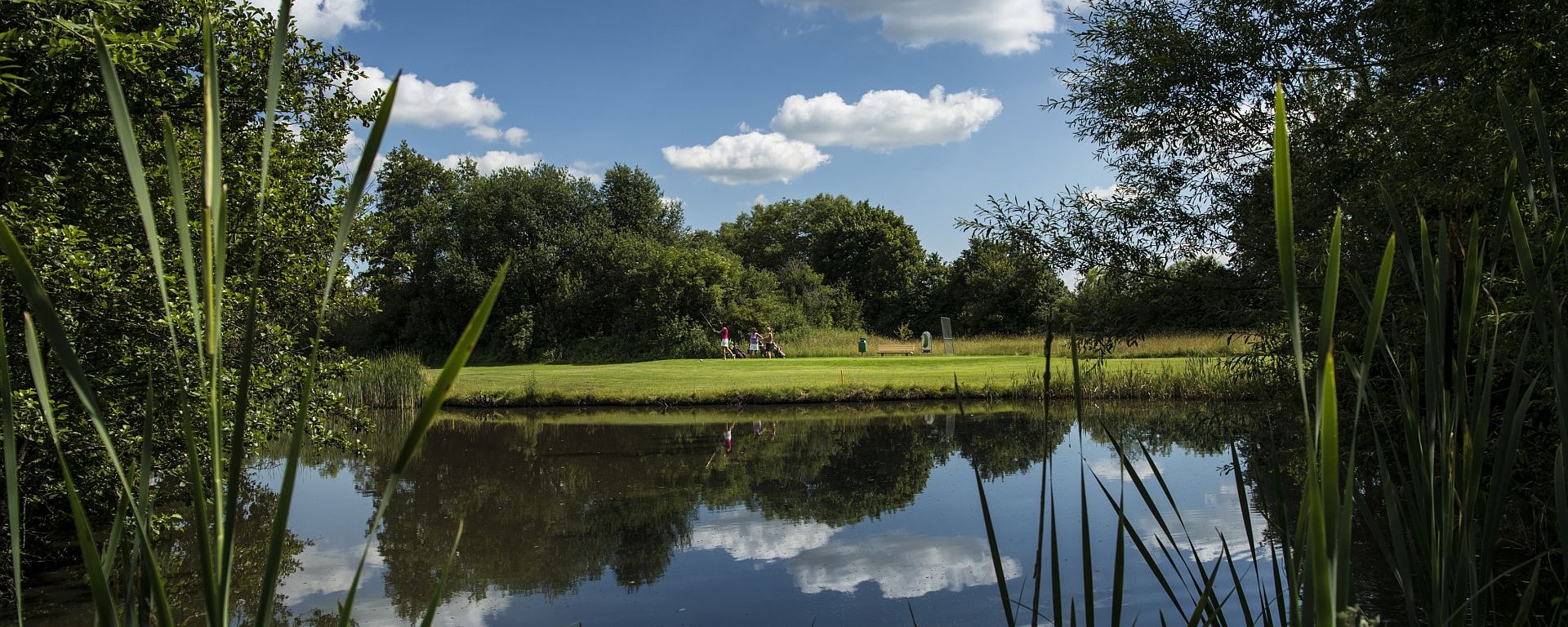 Aus dem Schilfgras eines der Teiche auf dem Golfplatz des Allgäuer Golf- und Landclub e.V. fotografiert, sieht sieht man eine Gruppe von Golfern mit Ihrer Ausrüstung über das Green laufen